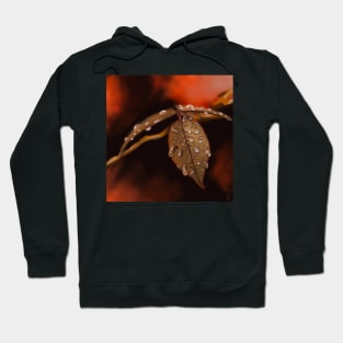 Wet Autumn Leaves Hoodie